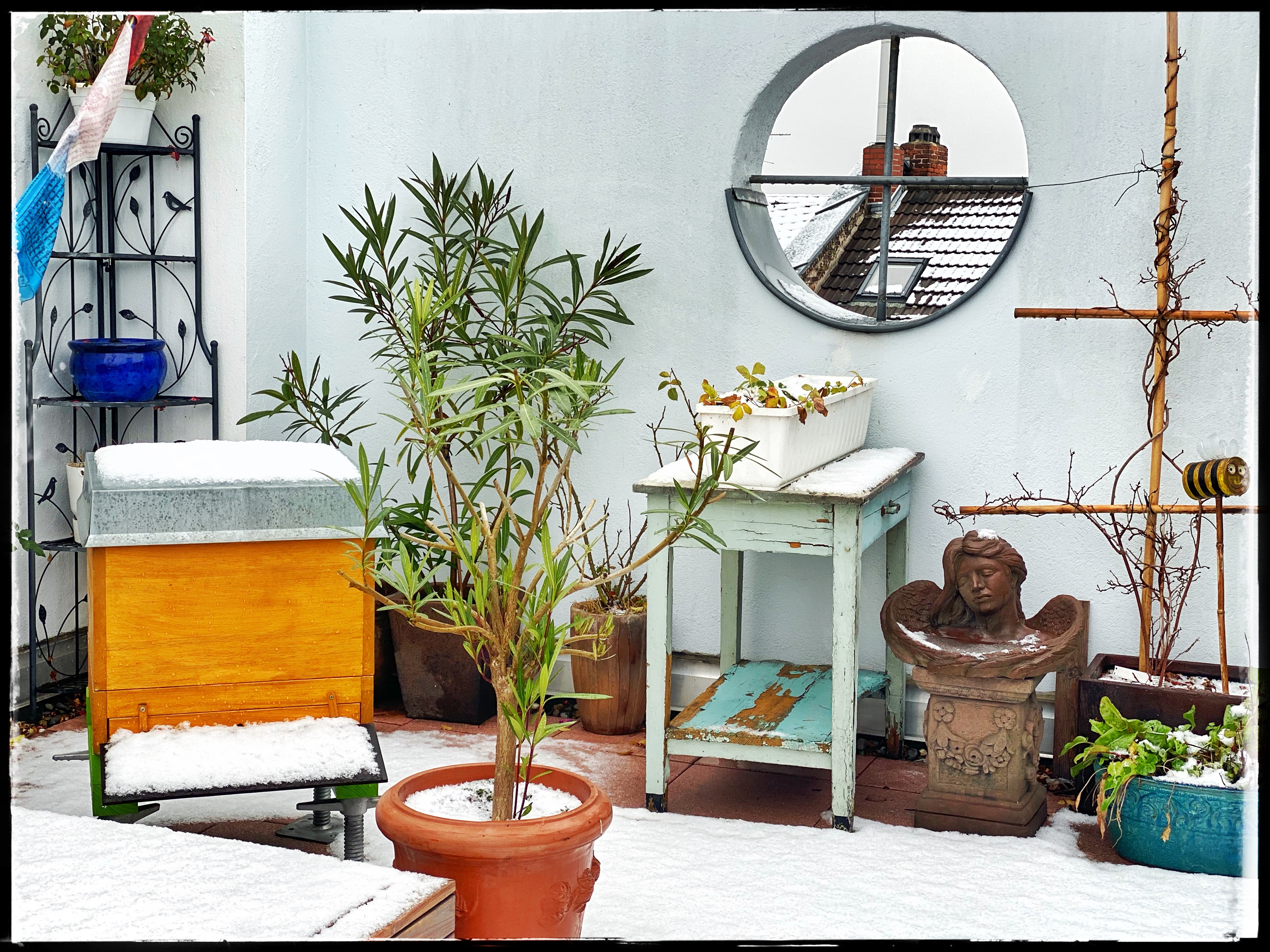 Blick auf überwinternde Bienenvölker im Schnee. 