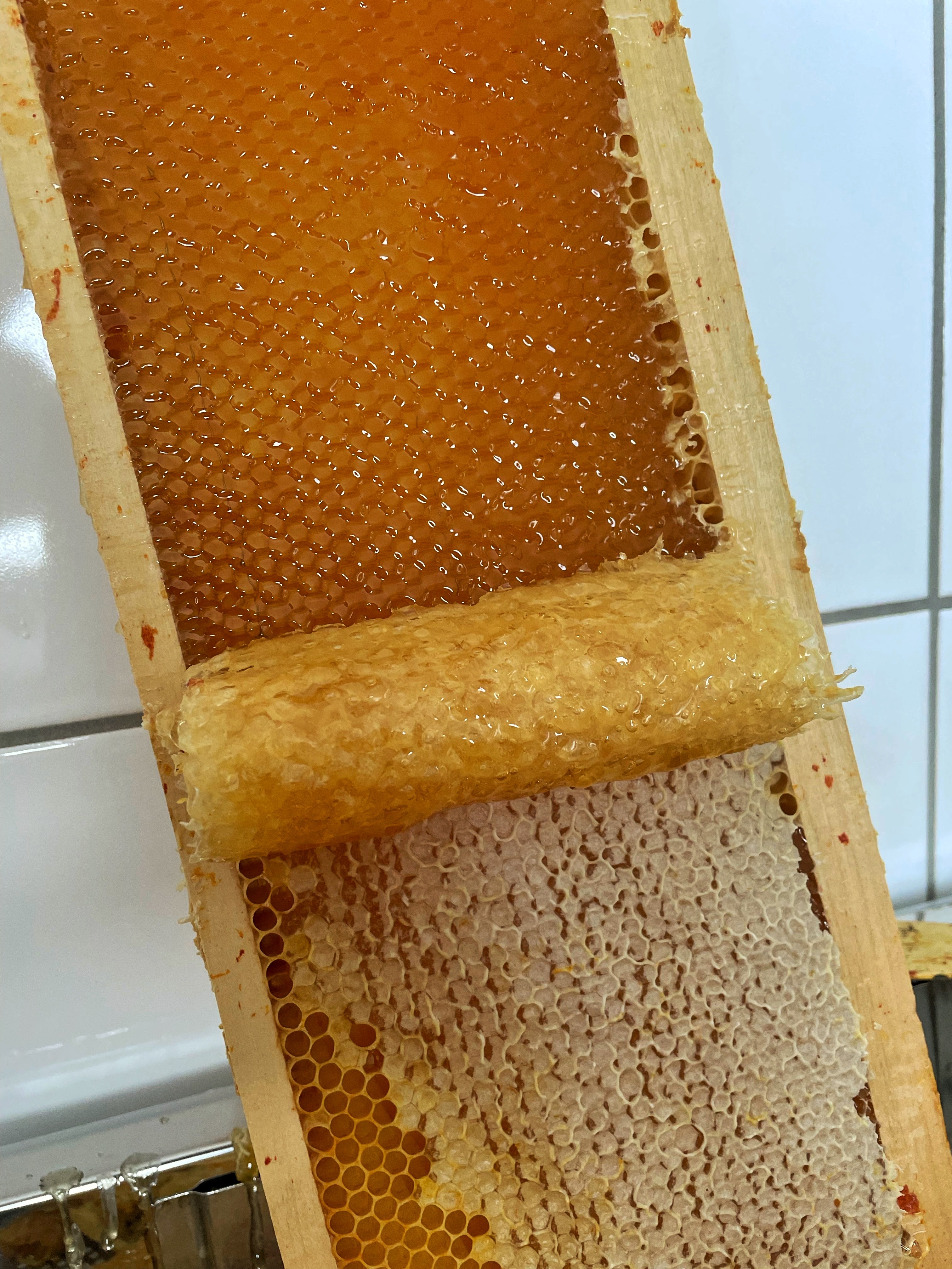 Frisch entdeckelter Honig - bereit für die Honigschleuder.