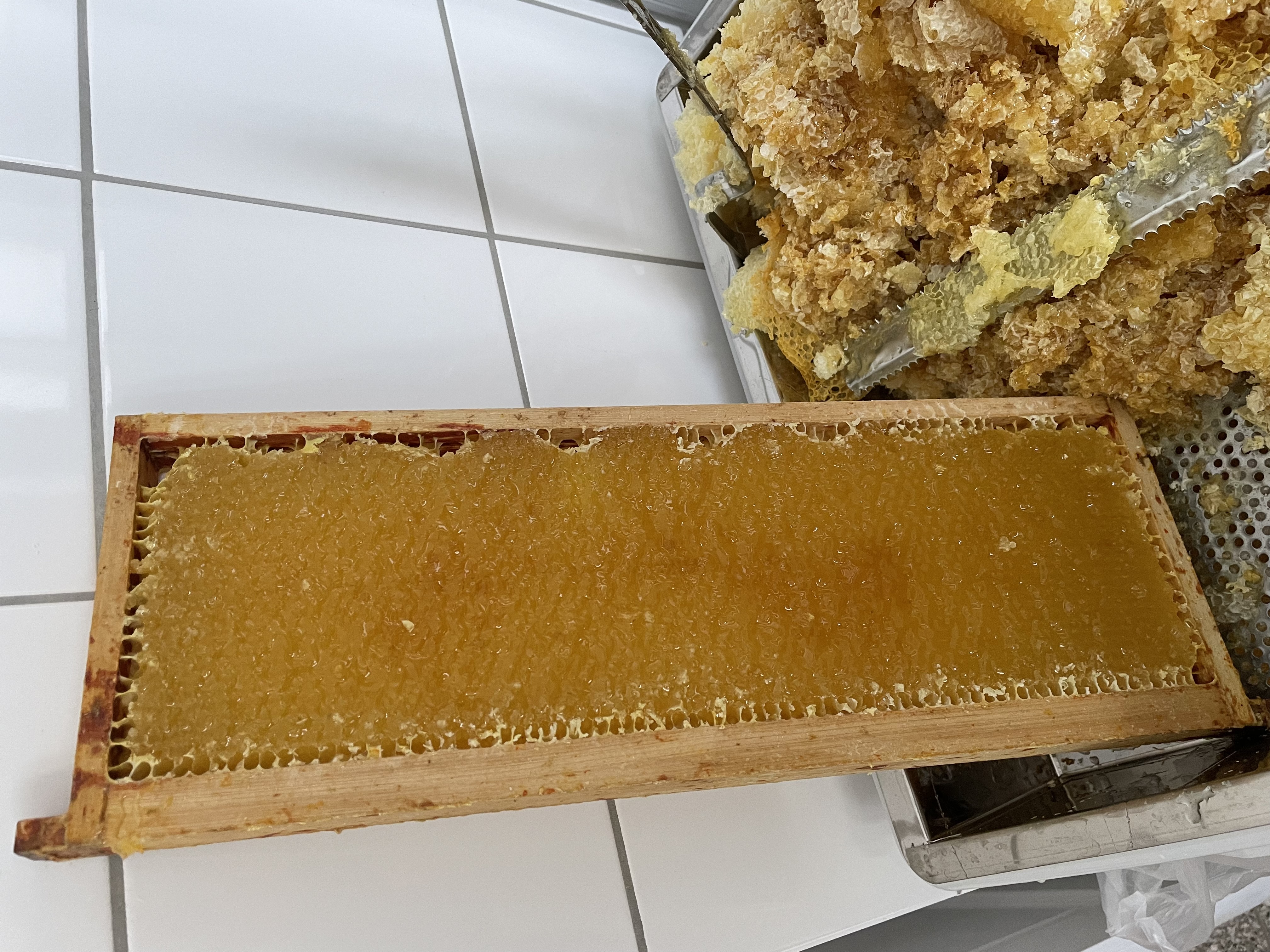 Entdeckelte Honigwabe und wertvolles Entdecklungswachs