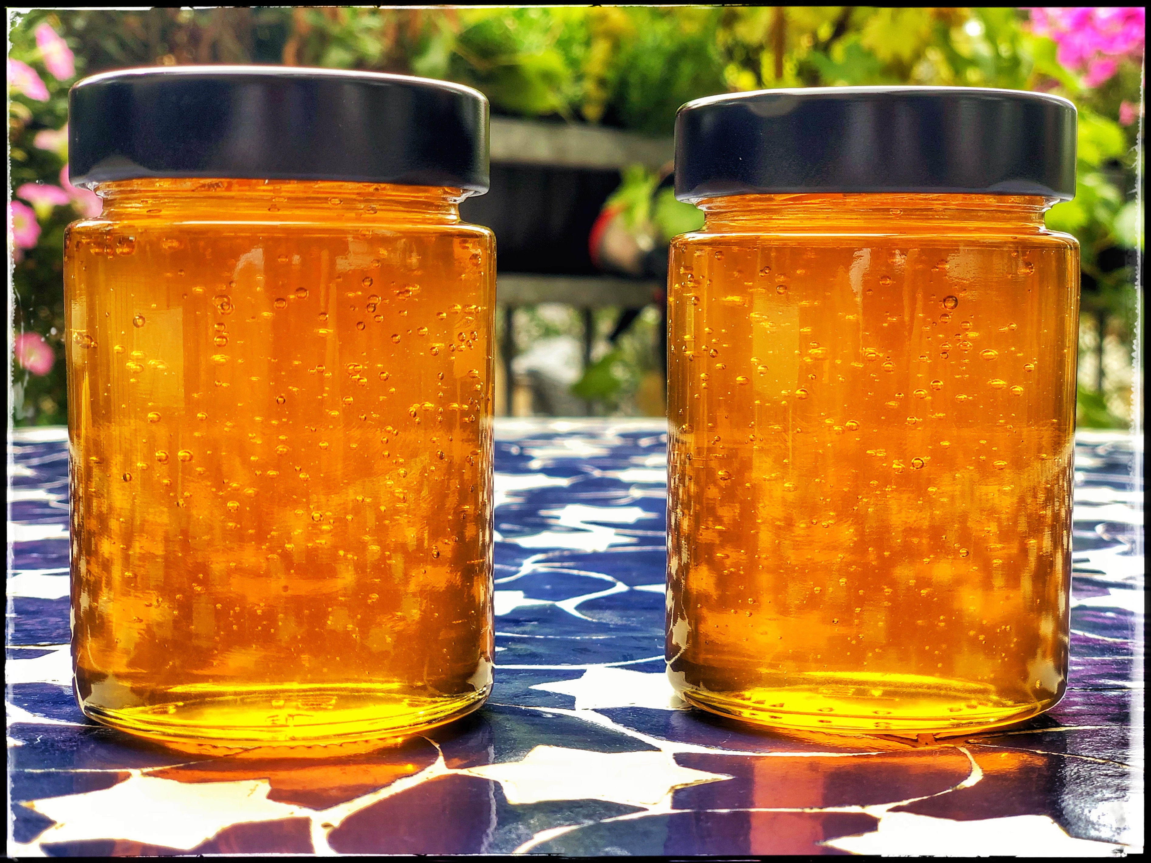 Frisch abgefüllter Honig - noch nicht etikettiert.